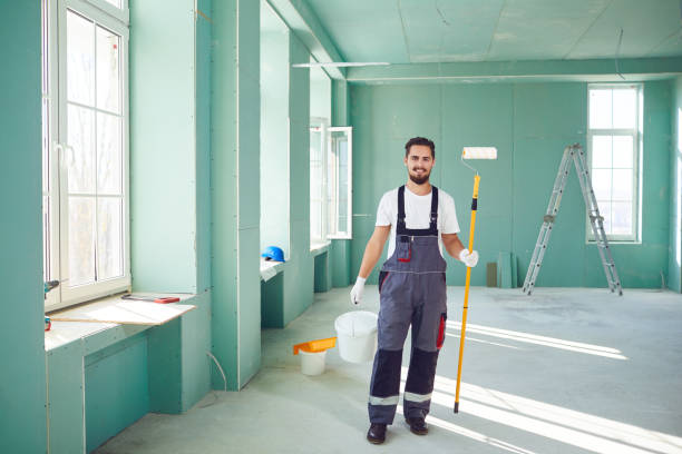 Best Attic Mold Removal  in Vandalia, OH
