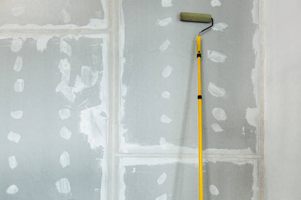 Best Black Mold Removal  in Vandalia, OH