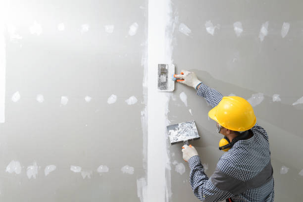 Best Asbestos and Lead Testing During Mold Inspection  in Vandalia, OH