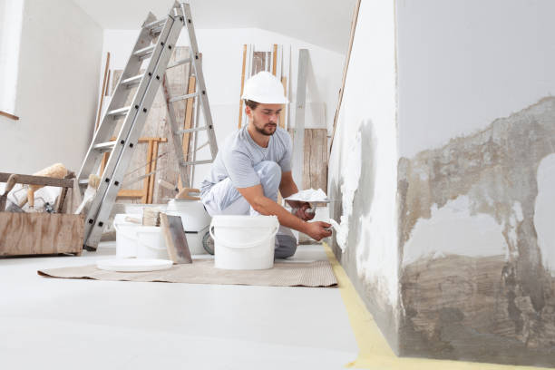 Best HVAC Mold Inspection and Cleaning  in Vandalia, OH