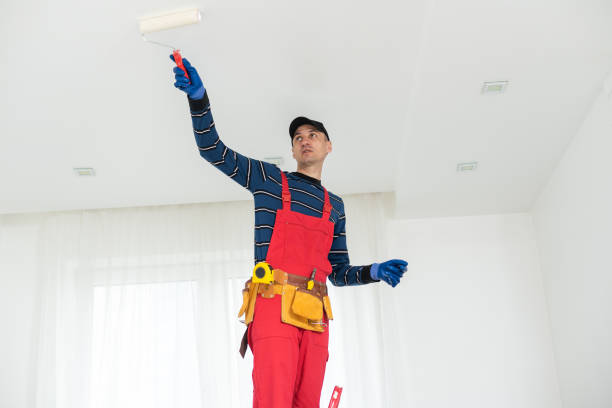 Best Commercial Mold Inspection  in Vandalia, OH