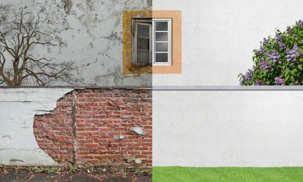 Best Real Estate Mold Inspection  in Vandalia, OH
