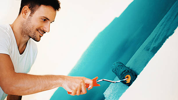 Best Post-Construction Mold Inspection  in Vandalia, OH