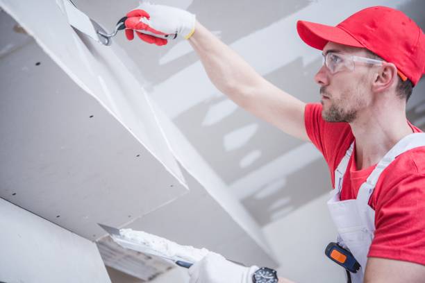 Best Post-Construction Mold Inspection  in Vandalia, OH